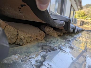 【施工進捗①】高知市でシロアリ被害・雨漏り修繕工事スタート｜解体で見えた内部の状態